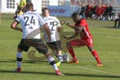 Regionalliga Bayern - Saison 2018/2019 - FC Ingolstadt 04 II - TSV 1860 Rosenheim - Diawusie Agyemang rot FCI - Räuber Ludwig weiss Rosenheim - Foto: Meyer Jürgen