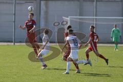 Regionalliga Bayern - Saison 2018/2019 - FC Ingolstadt 04 II - Viktoria Aschaffenburg - Lukas Gerlspeck rot FCI beim Kopfball - Foto Jürgen Meyer