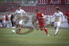 A-Junioren Bundesliga Süd/Südwest - Fußball - FC Ingolstadt 04 - FC Heidenheim - Jordan Born (#3 FCI 04 A-Junioren)