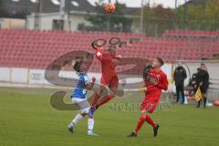 U19 Bundesliga - Saison 2020/2021 - FC Ingolstadt 04 - SV Darmstadt 98 - Gabriel Zirngast rot FCI - Foto: Meyer Jürgen