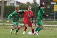 Kreisklasse - Saison 2025/26- TSV Pförring - SV Karlshuld-  - Daniel Finkenzeller rot Pförring - Tim Ruhstorfer grün Karlshuld - Pascal Sladkowski grün Karlshuld - Foto: Meyer Jürgen