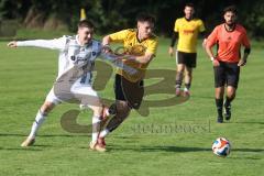 Kreisliga - Saison 2025/26- TSV Lichtenau - TSV Hohenwart - Mark Steingräber gelb Lichtenau - Andreas Widhopf weiss Hohenwart - Foto: Meyer Jürgen