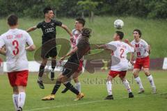 Relegation 2 - U17 - SSV Jahn Regensburg - FC Ingolstadt 04 - Davide Sekulovic (7 FCI) Benjamin Causevic (10 FCI) Luis Baierl (2 SSV)