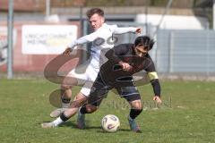 Bayernliga Nord - Saison 2025/26 - FC Ingolstadt 04 II - SpVgg Bayern Hof - Muhammed Atak (Nr.2 - FC Ingolstadt II) - Niklas Stadelmann weiss Bayern Hof  - Foto: Meyer Jürgen