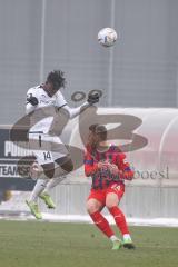 3. Liga; Testspiel, FC Ingolstadt 04 - 1. FC Heidenheim; Hans Nunoo Sarpei (18 FCI) Kühlwetter, Christian (24 HDH)