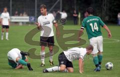 Landesliga - VfB Eichstätt - FC Gerolfing 3:1 - Manred Kroll schimpft