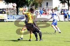 TSV Lichtenau gegen TSV Reichertshausen -Foto: Jürgen Meyer