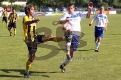 TSV Lichtenau gegen TSV Reichertshausen - Greuner Erwin von Lichtenau mit Schuß auf`s Tor -Foto: Jürgen Meyer