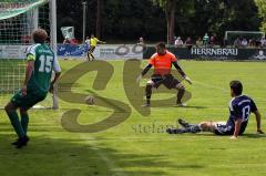 FC Gerolfing - SpVgg Feldmoching-Tor zum 1:0 durch Steffen Schneider-Jubel-Foto: Jürgen Meyer