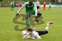 Landesliga SV Manching - TSG Thannhausen  - Hogmeni Wohayo (grün Manching) - Foto: Jürgen Meyer