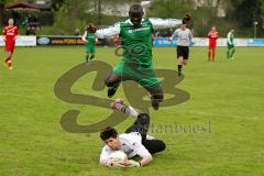 Landesliga SV Manching - TSG Thannhausen  - Hogmeni Wohayo (grün Manching) - Foto: Jürgen Meyer