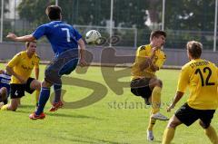 DJK Ingolstadt -ST Scheyern - Wagner Bastian (blau DJK Ing) - Foto: Jürgen Meyer