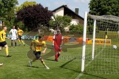 Kreisklasse - TSV Lichtenau - TV Münchsmünster - Graswald Manuell (gelb Lichtenau) beim Treffer zum 1:0 - Schemmel Markus (Torwart Münchsmünster) - Foto: Jürgen Meyer