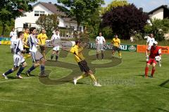 Kreisklasse - TSV Lichtenau - TV Münchsmünster - Graswald Manuell (gelb Lichtenau) beim Treffer zum 1:0 - Schemmel Markus (Torwart Münchsmünster) - Foto: Jürgen Meyer