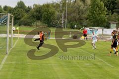 TSV Großmehring - FC Hitzhofen/Oberzell - Reichenberger Fabian mit Treffer zum 4:0 - Foto: Jürgen Meyer