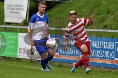 TSV Kösching - ASV Dachau - Bauer Benjamin (gestreift Kösching) - Foto: Jürgen Meyer