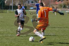 Kreisklasse 2 - SV Hundszell - FC Fatih Ingolstadt - Mamadou Diallo #8 schwarz Fatih Ingolstadt kommt einen Schritt zu spät - Tom-Christopher Libeg #1 Torwart Hundszell - Foto: Jürgen Meyer