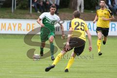 Landesliga 2015/16 - SV Manching -  SE Freising - Anikin Benjamin grün Manching - Glas Christoph gelb Freising - Foto: Jürgen Meyer