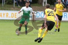 Landesliga 2015/16 - SV Manching -  SE Freising - Anikin Benjamin grün Manching - Glas Christoph gelb Freising - Foto: Jürgen Meyer