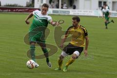 Landesliga 2015/16 - SV Manching -  SE Freising - Geiß Bernd grün Manching - Foto: Jürgen Meyer