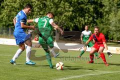 Landesliga 2015/16 - SV Manching - ASV Dachau - Bernd Geiß #7 grün Manching - Foto: Jürgen Meyer