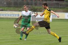 Landesliga 2015/16 - SV Manching -  SE Freising - Frank Thomas grün Manching - Foto: Jürgen Meyer