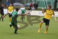 Landesliga 2015/16 - SV Manching -  SE Freising - Anikin Benjamin grün Manching - Foto: Jürgen Meyer