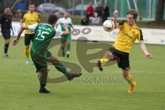 Landesliga 2015/16 - SV Manching -  SE Freising - Anikin Benjamin grün Manching - Foto: Jürgen Meyer