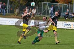 Landesliga Südost - SV Manching - TSV Moosach - Harry Weller grün Manching - Foto: Jürgen Meyer