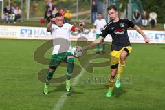 Landesliga Südost - SV Manching - TSV Moosach - Bernd Geiß grün Manching - Foto: Jürgen Meyer