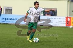 Landesliga Südost - SV Manching - TSV Moosach - Azad El-Mahmod grün #5 Manching - Foto: Jürgen Meyer