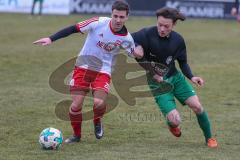 Landesliga Südost - SV Manching - TUS 1860 Pfarrkirchen - Harry Weller #11 grün Manching - Patrick Hahn weiss Pfarrkirchen - Foto: Jürgen Meyer