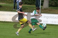 Landesliga Südost - SV Manching - TSV Moosach - Harry Weller grün Manching - Foto: Jürgen Meyer