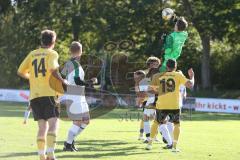 401 Kreisliga 1 - SV Manching II - FC Hitzhofen/Oberzell  - Raphael Frieberger Torwart Manching - Foto: Jürgen Meyer