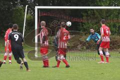 Kreisliga - TSV Baar Ebenhausen - FC Hepberg - Rindlbacher Michael #9 Barr Ebenhausen schiesst mit einem Freistoßtor den 1:1 Ausgleichstreffer - Foto: Jürgen Meyer