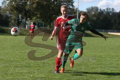 401 Kreisliga 1 - TSV Baar Ebenhausen - FC Geisenfeld -  Robin Raasch grün Geisenfeld - Foto: Jürgen Meyer