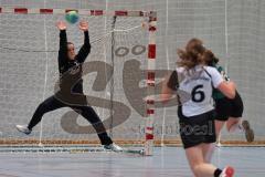 Handball Damen - HG Ingolstadt - SV Laim - Tor für Laim