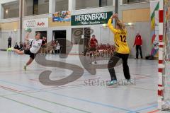 Handball Damen HG Ingolstadt - VFL Günzburg -Melanie Pöschmann #10 beim Strafwurf - Lisa Gresselbacher #12 Torhüterin Günzburg -  Foto: Jürgen Meyer