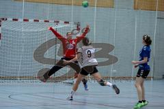 Handball Damen - HG Ingolstadt/Frauen - TSV Schleißheim - Karolin Diesner Torfrau HG Ingolstadt - Carola Stärch #9 Schleißheim -  Schleißheim - Foto: Jürgen Meyer