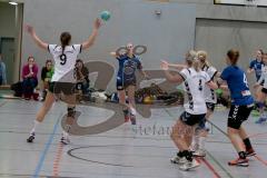 Handball Damen - HG Ingolstadt/Frauen - TSV Schleißheim - Lisa Günther #33 blau HG Ingolstadt - Carola Stärch #9 weiss Schleißheim - Foto: Jürgen Meyer