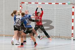 Handball Damen - Landesliga Nord - HG Ingolstadt - HC Sulzbach Rosenberg - Dominique Bittl #12 rot Torwart Ingolstadt - Lisa Wagner #17 weiss Sulzbach - Foto: Jürgen Meyer