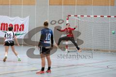 Handball Damen - Landesliga Nord - HG Ingolstadt - HC Sulzbach Rosenberg - Dominique Bittl #12 rot Torwart Ingolstadt - Stefanie Häckle #16 weiss Sulzbach beim 7 Meter - Foto: Jürgen Meyer