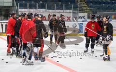 Inline Hockey-WM in Ingolstadt - Training Nationalmannschaft Deutschland - Das deutsche Team