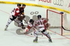 Finale Inline Hockey WM Deutschland-Canada - Foto: Jürgen Meyer