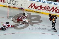 Finale Inline Hockey WM Deutschland-Canada - Foto: Jürgen Meyer