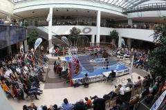 Kickboxen - Weltmeisterschaft - ISKA - Johannes Wolf gegen Marvin Falk (F) - Westpark Plaza als neue Box-Location