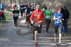 LifePark Max Frühjahrswaldlauf in Zuchering 2017 - Läufer auf der Strecke - Foto: Jürgen Meyer