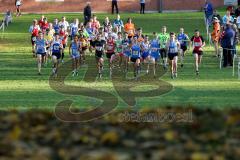 13. Bayerisches Cross Festival - Ingolstadt  - Start zur Langstrecke 7100 Meter Finale