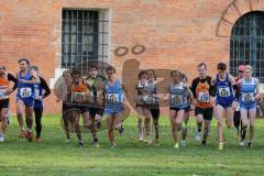 12. Bayerisches Cross-Festival - Hindenburgpark Ingolstadt - Start zum Hauptlauf 7100 m