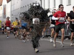 Halbmarathon Ingolstadt 2008 26.4.2008